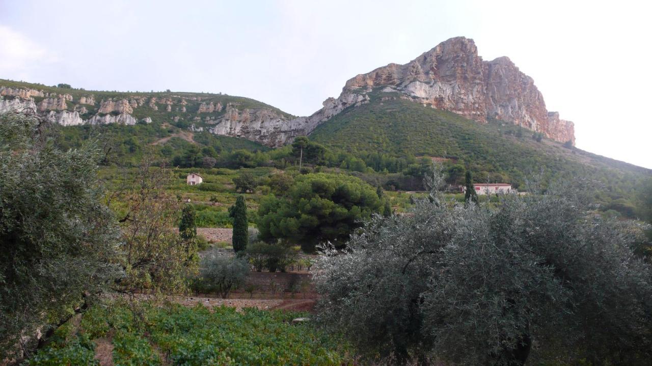Chez Mamouska Bed & Breakfast Cassis Eksteriør bilde